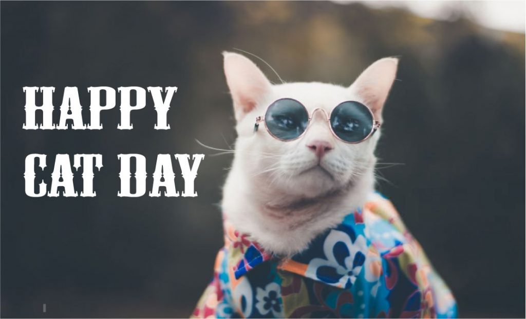 Happy Cat Day