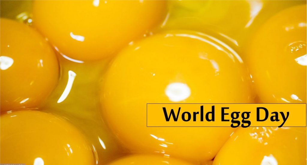 International Egg Day