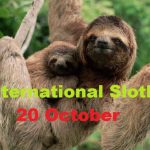 International Sloth Day