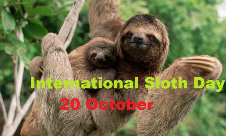 International Sloth Day