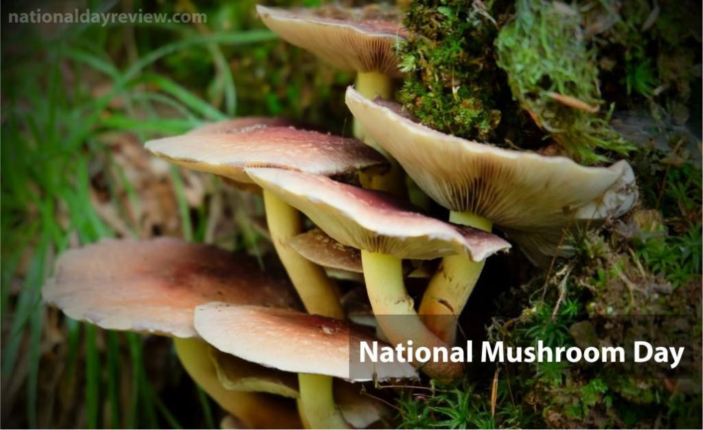 National Mushroom Day 2025