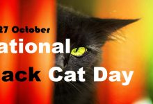 National Black Cat Day