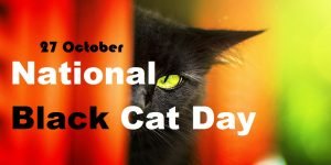 National Black Cat Day