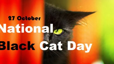 National Black Cat Day