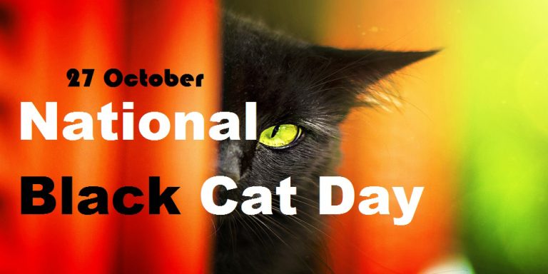 National Black Cat Day