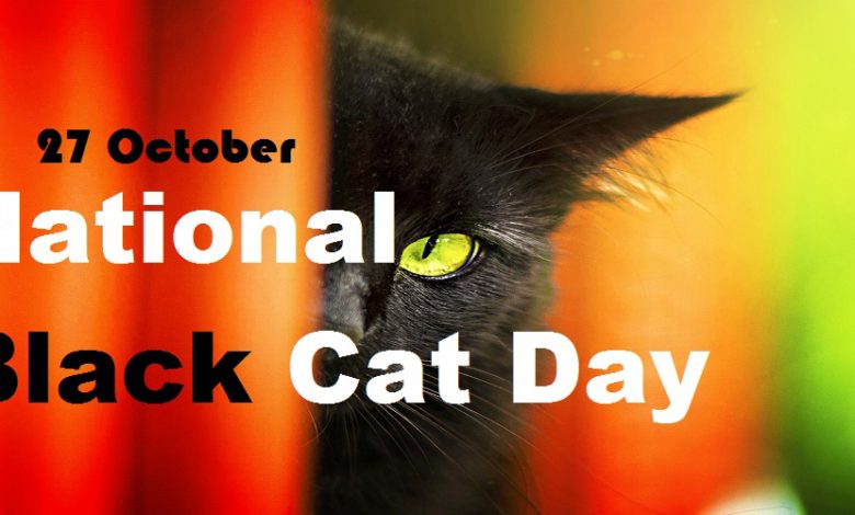 National Black Cat Day