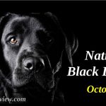 National Black Dog Day