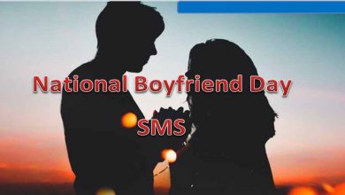 National Boyfriend Day SMS