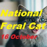 National Feral Cat Day
