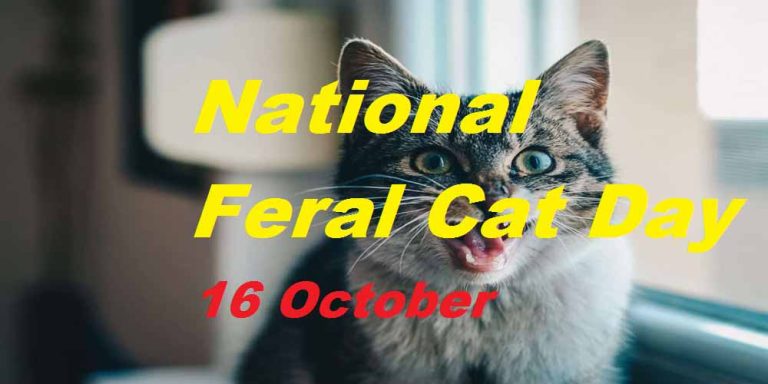 National Feral Cat Day