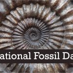 National Fossil Day