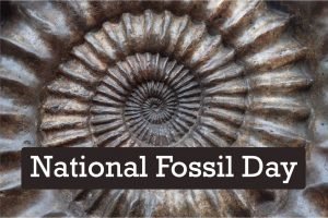 National Fossil Day