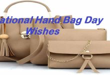 National Hand Bag Day wishes