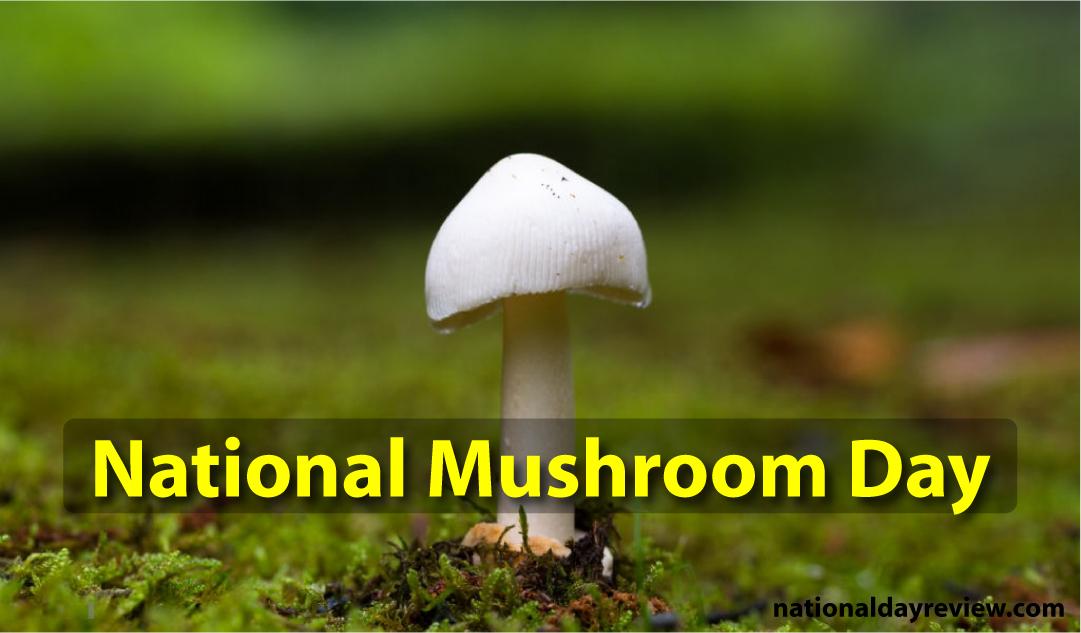 National Mushroom Day