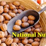 National Nut Day