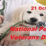 National Pets for Veterans Day CoverPhoto