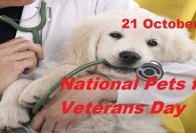 National Pets for Veterans Day CoverPhoto