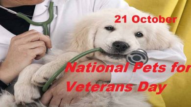 National Pets for Veterans Day CoverPhoto