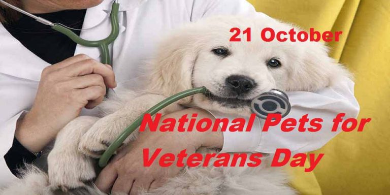 National Pets for Veterans Day CoverPhoto