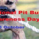National Pit Bull Awareness Day coverphoto