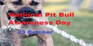 National Pit Bull Awareness Day