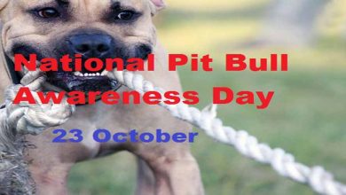 National Pit Bull Awareness Day coverphoto