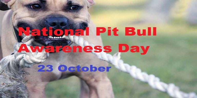 National Pit Bull Awareness Day coverphoto