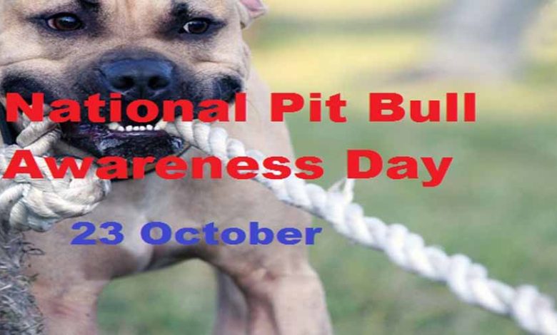 National Pit Bull Awareness Day coverphoto