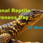 National Reptile Awareness Day CoverPhoto