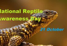 National Reptile Awareness Day CoverPhoto