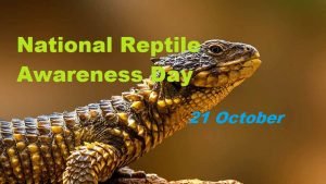 National Reptile Awareness Day