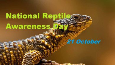 National Reptile Awareness Day CoverPhoto