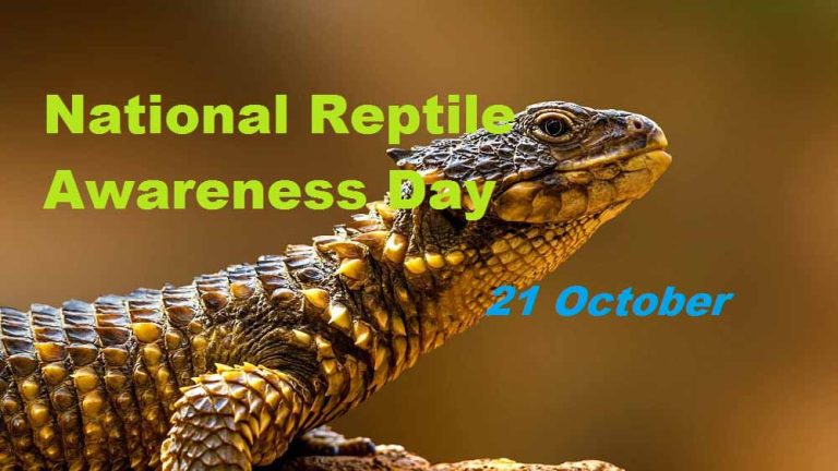 National Reptile Awareness Day CoverPhoto
