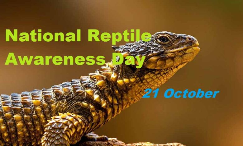 National Reptile Awareness Day CoverPhoto