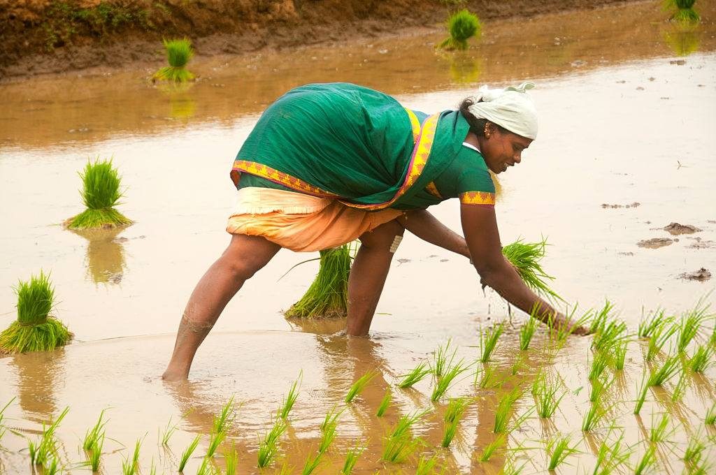 Woman farmer