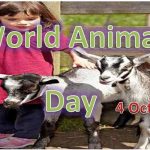 World Animal Day CoverPhoto