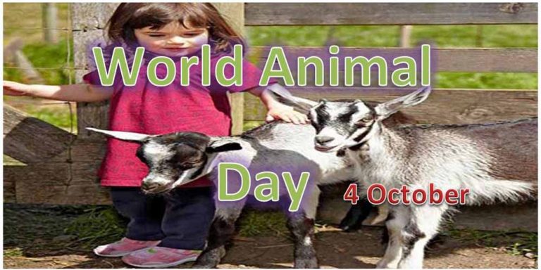 World Animal Day CoverPhoto