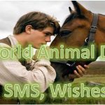 World Animal Day Wishes