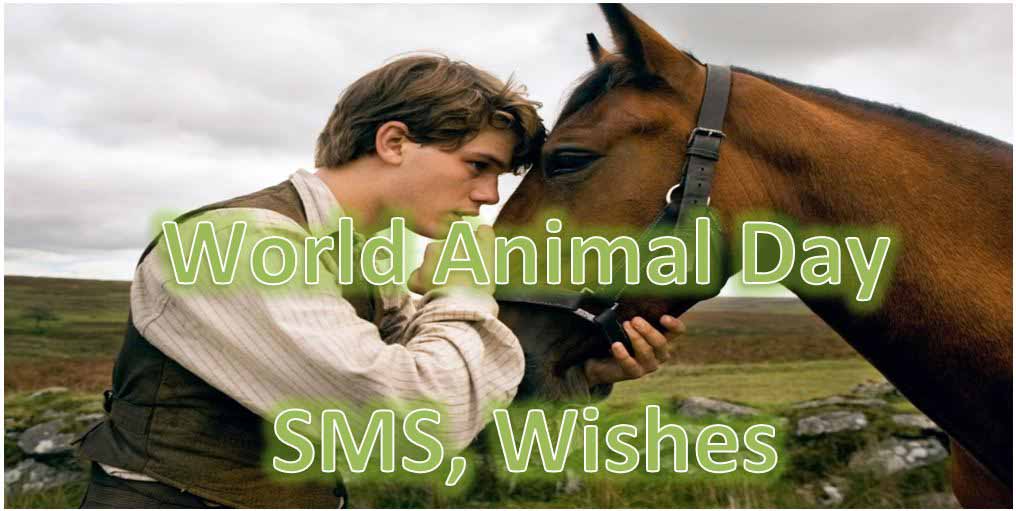 World Animal Day Wishes