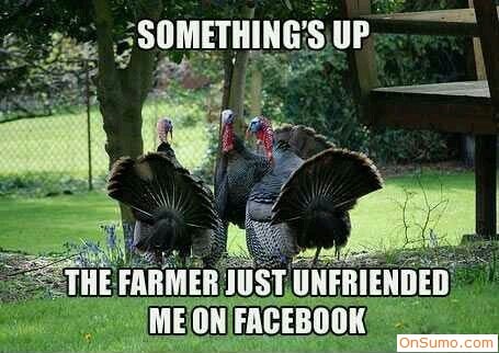 Funny Thanksgiving facebook