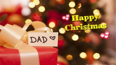 Christmas Quotes for Dad