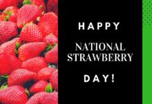 National Strawberry day