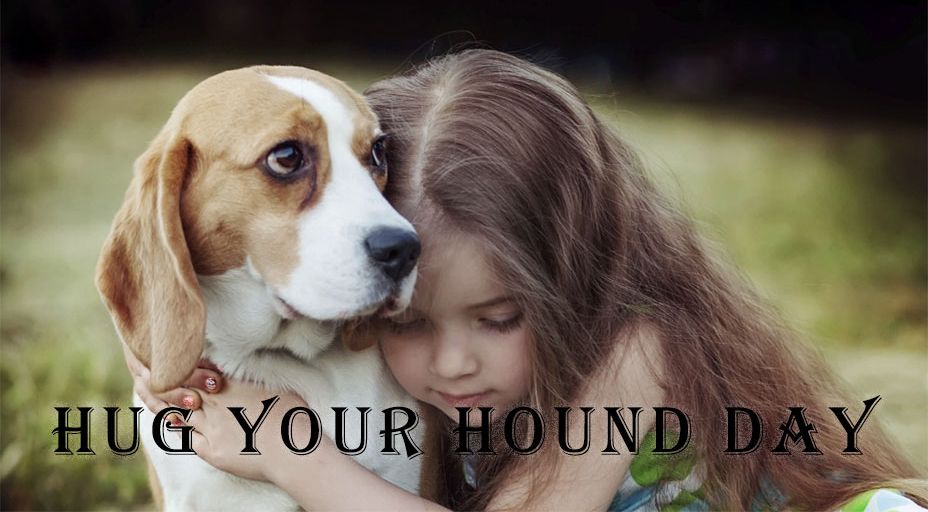 Hug Your Hound Day pic