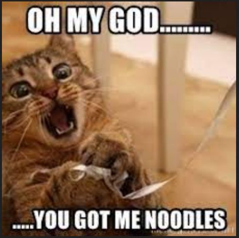 National Noodle Day Meme