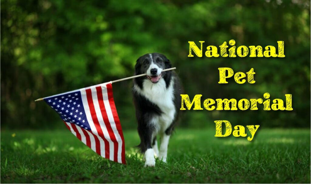 Pet Memorial Day Images