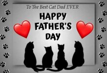 Happy Fathers Day Cat Dad