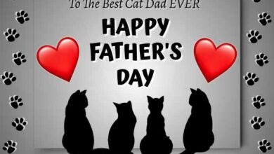 Happy Fathers Day Cat Dad