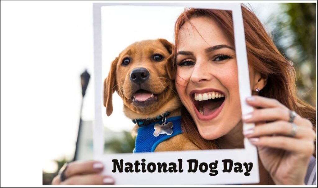 Happy woman with Labrador puppy Dog