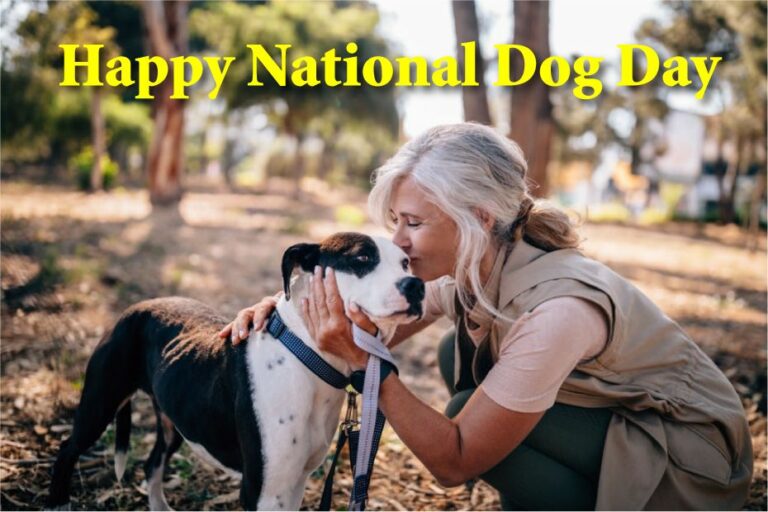 National Dog Day tips