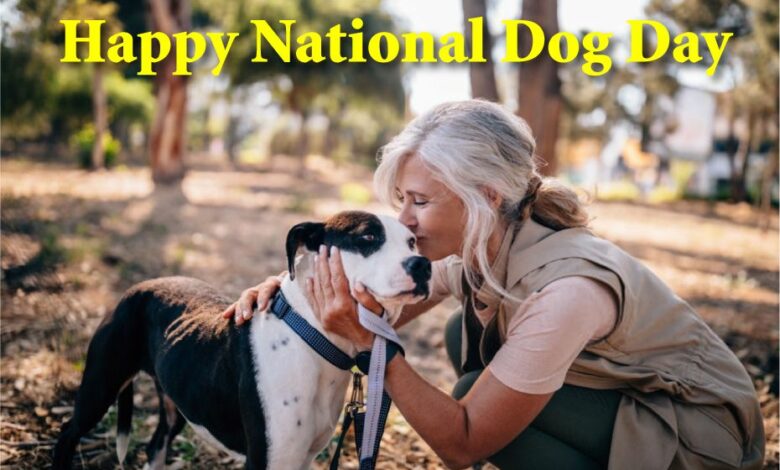 National Dog Day tips